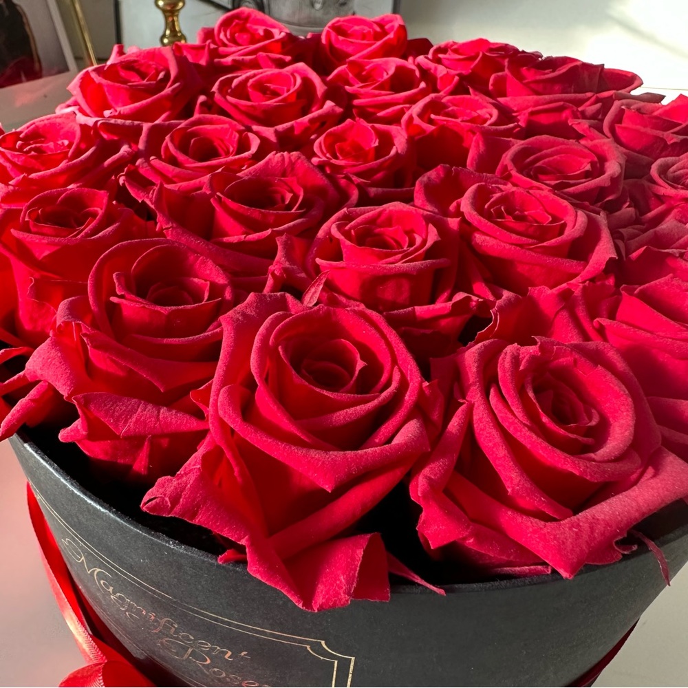 Magnificent Roses - 2 Dozen Preserved Red Roses - Picture 4 of 5